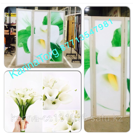 Ширма 3D.Ширма 3-х створчатая