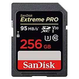 Карта памяти SD 256GB Class 10 U3 SanDisk SDSDXXG-256G-GN4IN