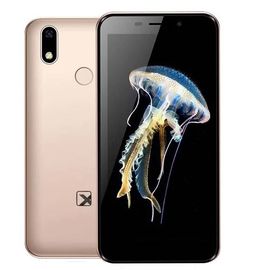 Смартфон Texet TM-5081 золотой
