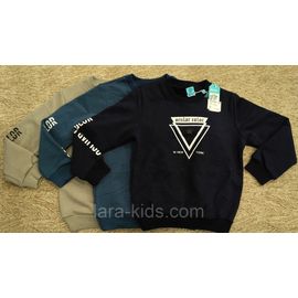 Толстовка с начесом