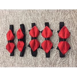 Бабочка треугольные