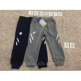 Спортивные брюки (трико)