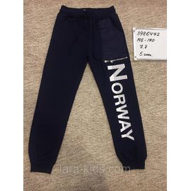 Брюки и трико для мальчиков.