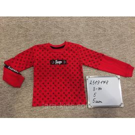 Кофты и пусера для мальчиков