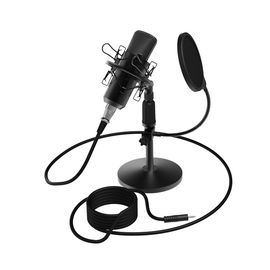 Студийный микрофон Ritmix RDM-175 черный