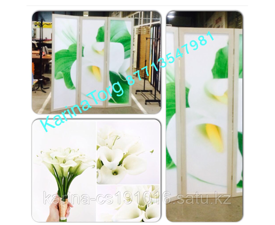 Ширма 3D.Ширма 3-х створчатая