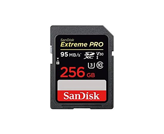 Карта памяти SD 256GB Class 10 U3 SanDisk SDSDXXG-256G-GN4IN