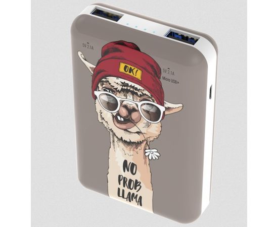 Зарядное устройство Power bank Ritmix RPB-10007 Lama