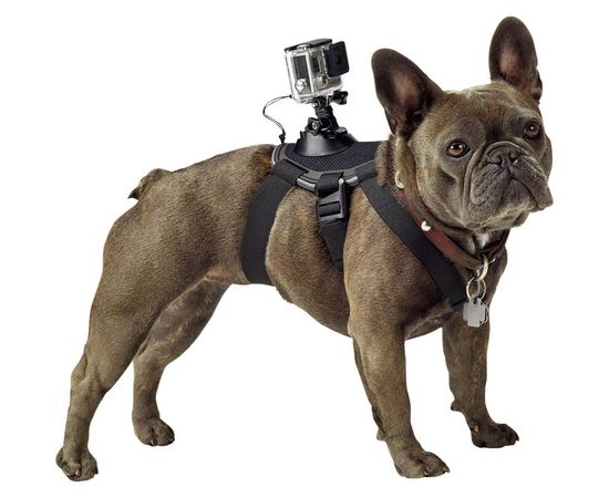 Крепление-упряжка для собак GoPro ADOGM-001