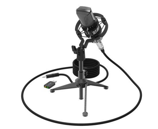 Студийный микрофон Ritmix RDM-160 черный