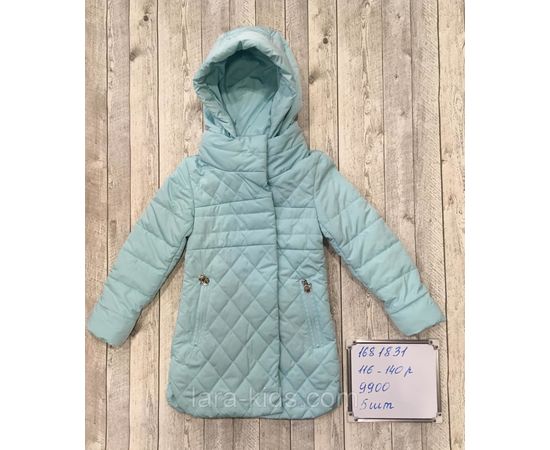 Куртки и ветровки для девочек, парки для девочек