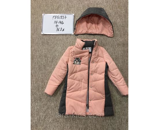 Куртки и ветровки для девочек