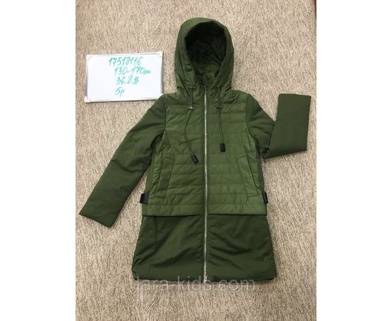 Куртки и ветровки для девочек