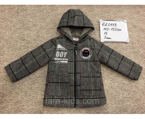 Пальто и ветровки для мальчиков