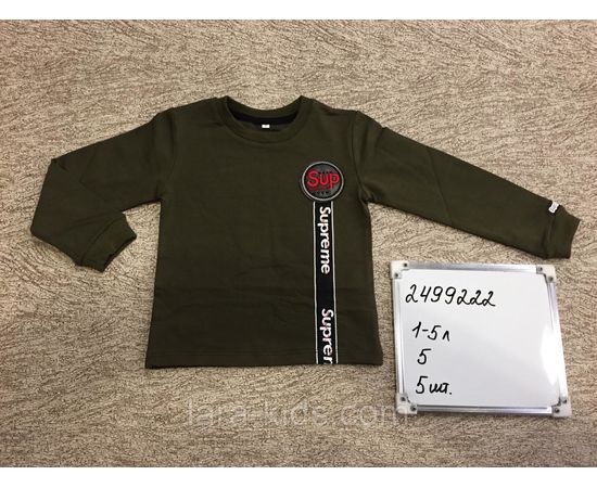 Кофты и футболки длинный рукав для мальчиков