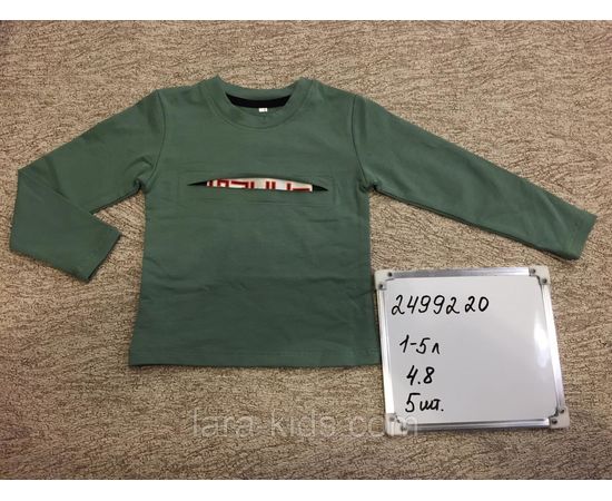 Кофты и футболки для мальчиков