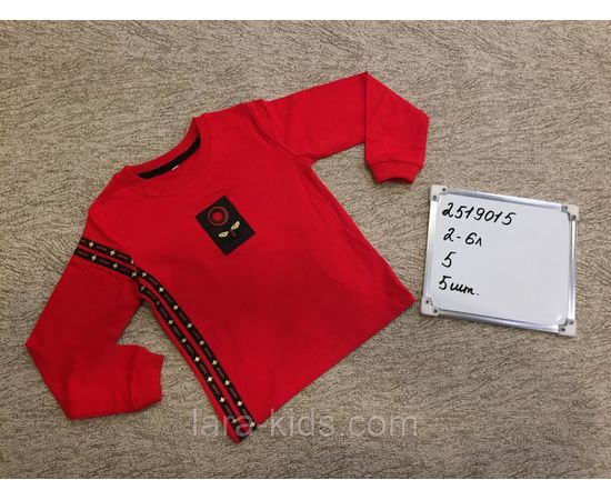Кофты и пусера для мальчиков