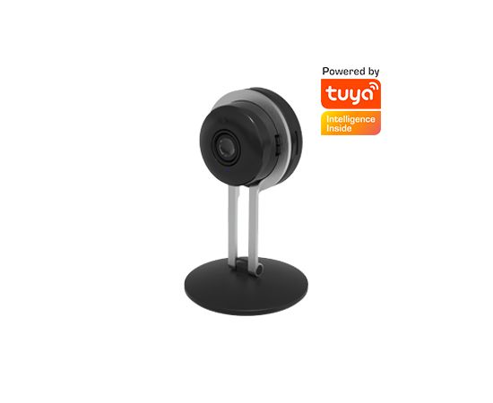 Видеокамера внутренняя Ritmix IPC-203 Tuya черный