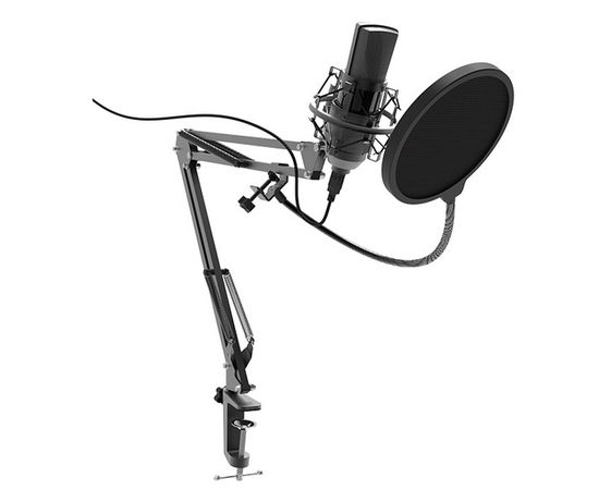 Студийный микрофон Ritmix RDM-180 черный