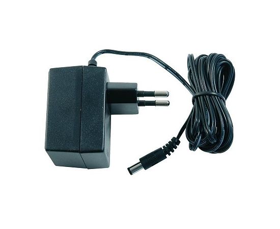 Сетевой адаптер Casio AD-A60024SGP2OP1EH