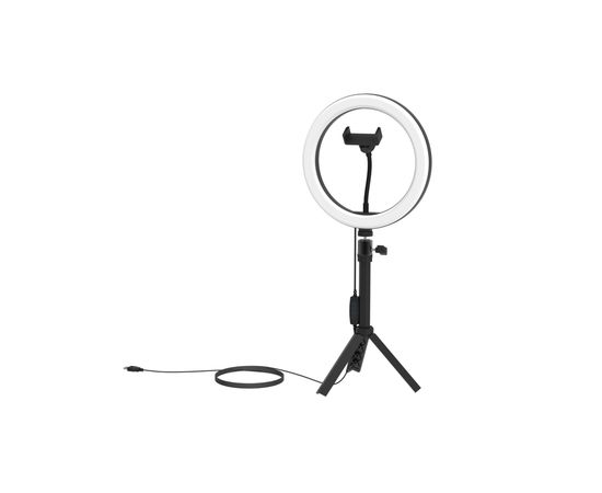 Кольцевая лампа Ritmix RRL-262 черный
