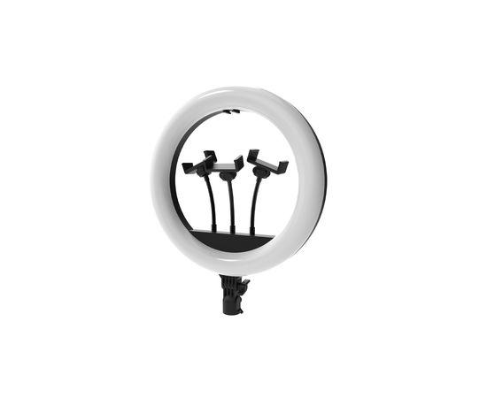 Кольцевая лампа Ritmix RRL-360 черный