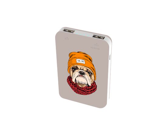 Зарядное устройство Power bank Ritmix RPB-10007 Bulldog