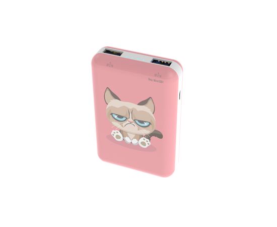 Зарядное устройство Power bank Ritmix RPB-10007 Grumpy Cat