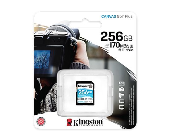 Карта памяти SD 256GB Class 10 U3 Kingston SDG3/256GB