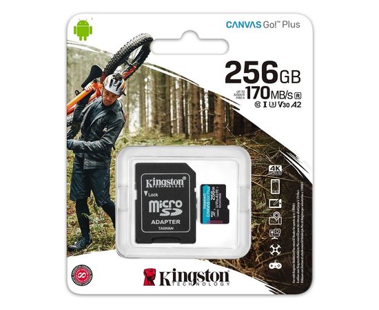 Карта памяти microSD 256GB Kingston SDCG3/256GB