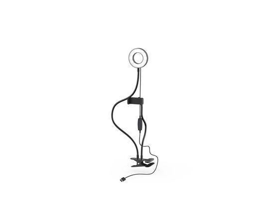 Кольцевая лампа Ritmix RRL-091 черный