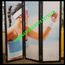 Ширма - 3 D \ 2-Х сторонние изображение