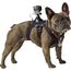 Крепление-упряжка для собак GoPro ADOGM-001